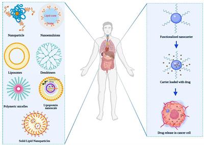 Recent Progress on the Synergistic Antitumor Effect of a Borneol-Modified Nanocarrier Drug Delivery System